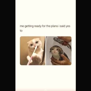 Buy 2 items and get free shipping! 📦